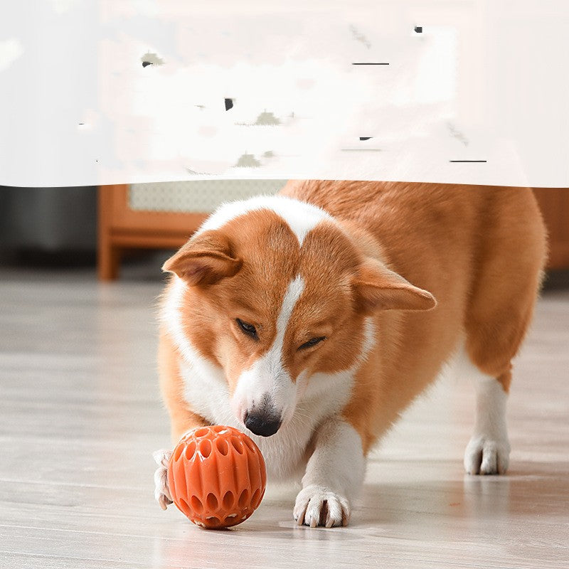 Dogs Leak Toy Balls To Control Food